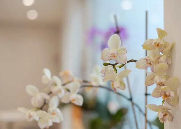 Eirene Bed & Breakfast Ricadi