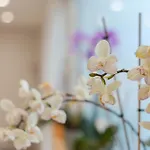 Eirene Bed and breakfast Ricadi